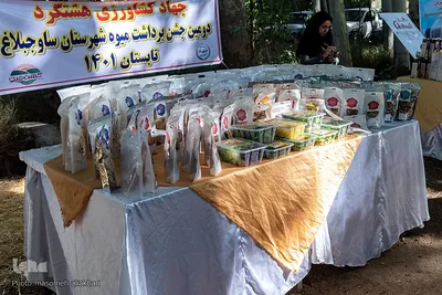 جشن شکرانه برداشت میوه البرز