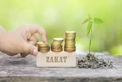 الزکاة ومساعي الأمم المتحدة للتنمیة المستدامة