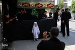 همایش شیرخوارگان حسینی در مشهد