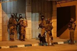 الاحتلال الاسرائيلي يعتقل 13 فلسطينياً بالضفة
