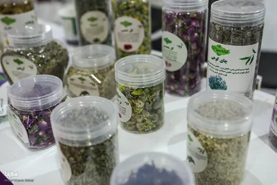 بیست و پنجمین نمایشگاه دستاوردهای پژوهش، فناوری و فن بازار
