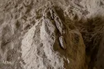 مراغه بهشت پستانداران ماقبل تاریخ‎‎