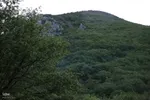 طبیعت تیر ماهی جنگل‌های ارسباران