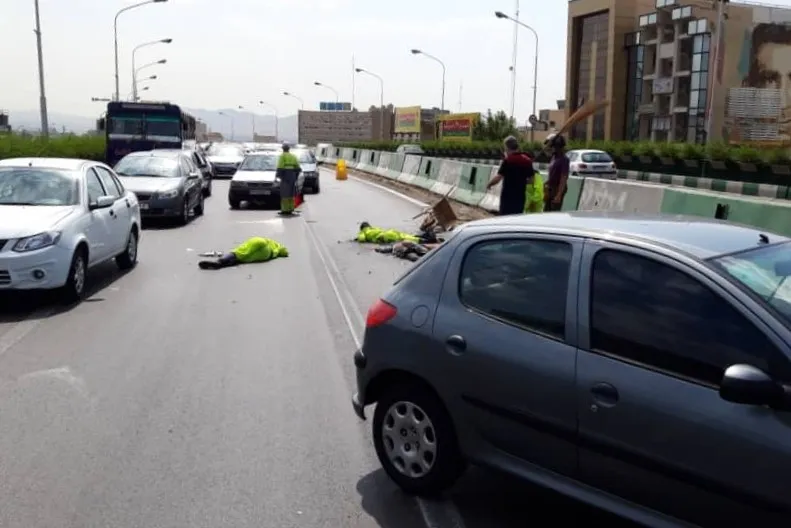پاکبان جوان؛ قربانی روز عید