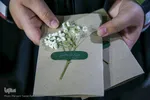 یادواره شهدای گمنام دانشگاه شیراز