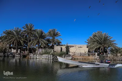 تالاب شادگان