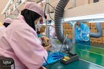 افتتاح ۶ واحد تولیدی دانش بنیان در منطقه ویژه اقتصادی پیام
