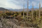 طبیعت پاییزی شهمیرزاد‎