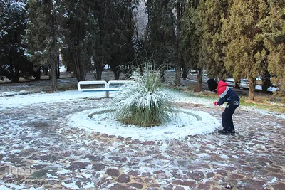 آغاز زمستان در خراسان‌جنوبی
