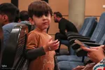 نشست صمیمانه ریاست سازمان سینمایی کشور با هنرمندان و فعالان سینمایی استان فارس