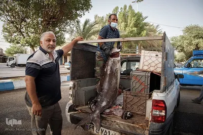 چهل سال پس از فتح خرمشهر