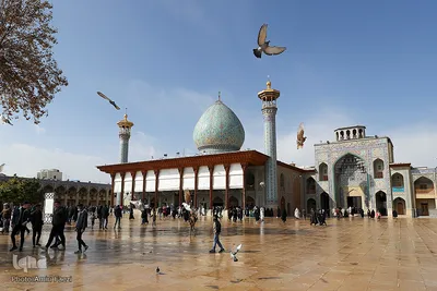 عزاداری سالروز شهادت حضرت زهرا(س)در حرم شاهچراغ(ع)