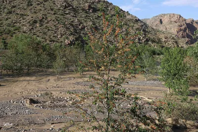 خسارت سیل در روستای افیل شهرستان اهر