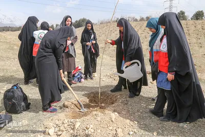 کاشت نهال صلح در بوستان طبیعت پردیسان توسط اعضای هلال احمر