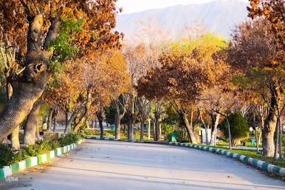 پاییز هزار رنگ ملایر