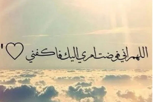 مَنْ فَوَّضَ أَمْرَهُ إِلى اللهِ سَدَّدَهُ