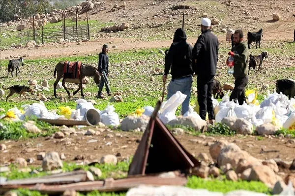 Palestinian Families Displaced by Illegal Israeli Settlers in West Bank’s al-Auja