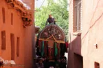 آیین سنتی «نخل‌گردانی» در روستای ابیانه نطنز