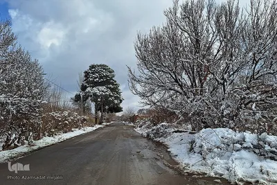 رخت سفید بر تن یزد جهانی