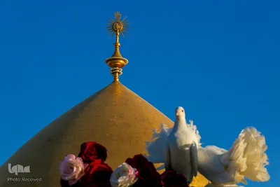 آستان مقدس امام علی(ع)