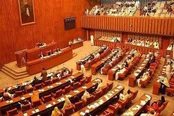 پاکستان ؛ سینیٹ نے گستاخانہ خاکوں کی مذمت کردی