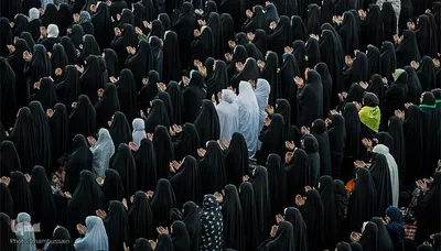 مراسم نماز عید قربان در جوار حرم امام حسین و برادرش عباس (ع)