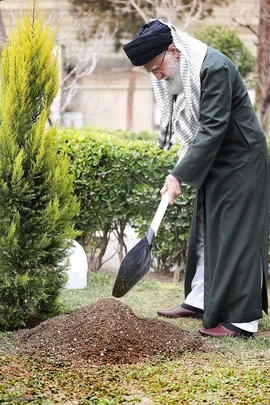 کاشت نهال در هفته منابع طبیعی