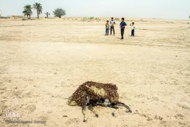 کمترین تحریری از یک زندگانی