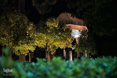 یلدا در جوار حافظ