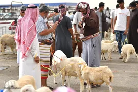 محشر حج تمتع ۱۴۴۳