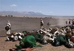 أصحاب الحسین(ع) نموذج الولاء والإخلاص