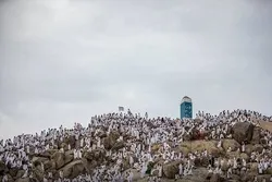 A gobe ne za a fara shirin aiwatar da aikin Hajji a Saudiyya