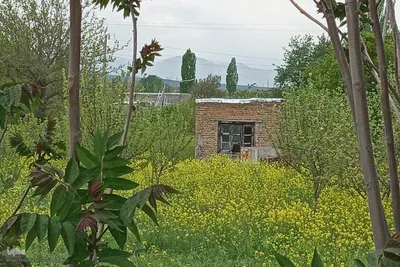 طبیعت بهاری رودخانه اهرچای در شهرستان اهر