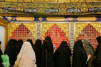 ویژه‌برنامه «مجاهدان شهید»