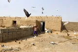 کمترین تحریری از یک زندگانی