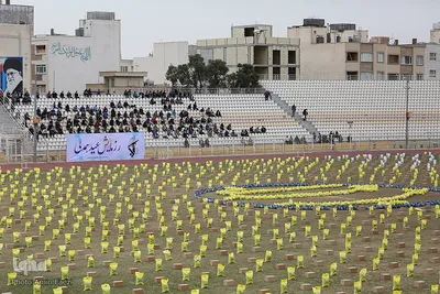 «عید همدلی»- شیراز