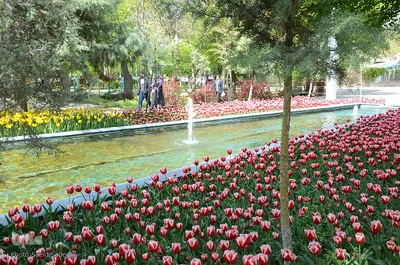 گلستان تبریز