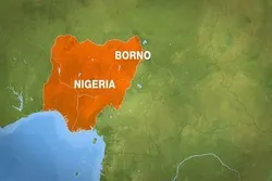 Nigeria’s Borno State Govt. Says No Compensation for Demolished Mosques, Churches  