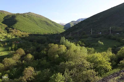 طبیعت تیر ماهی جنگل‌های ارسباران