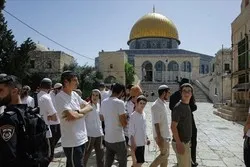 La Jordanie appelle à la cessation des violations d’Israël à la mosquée al-Aqsa