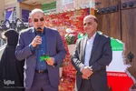 4205456
سرویس: فارس
موضوع