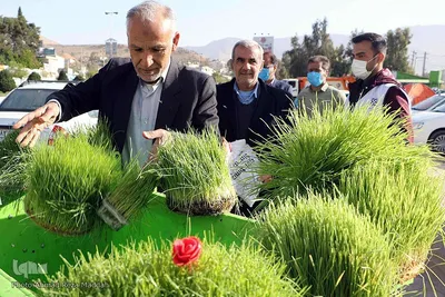 روز طبیعت در فارس