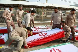بازگشت لاله‌ها به آغوش وطن