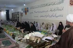 کرسی تلاوت دانش‌آموزی در ملایر