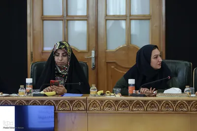 نشست خبری معاون رئیس جمهور در امور زنان و خانواده