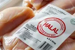 Начало работы Международного рынка халяльной продукции в Казани