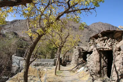 پاییز خراسان جنوبی