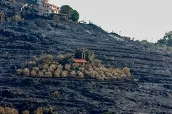 Syrian President Visits Areas Hit by Fires  