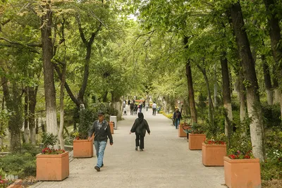 طبیعت بهاری تهران