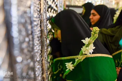 تجدید میثاق خدام امام رضا با حضرت شاهچراغ (ع)